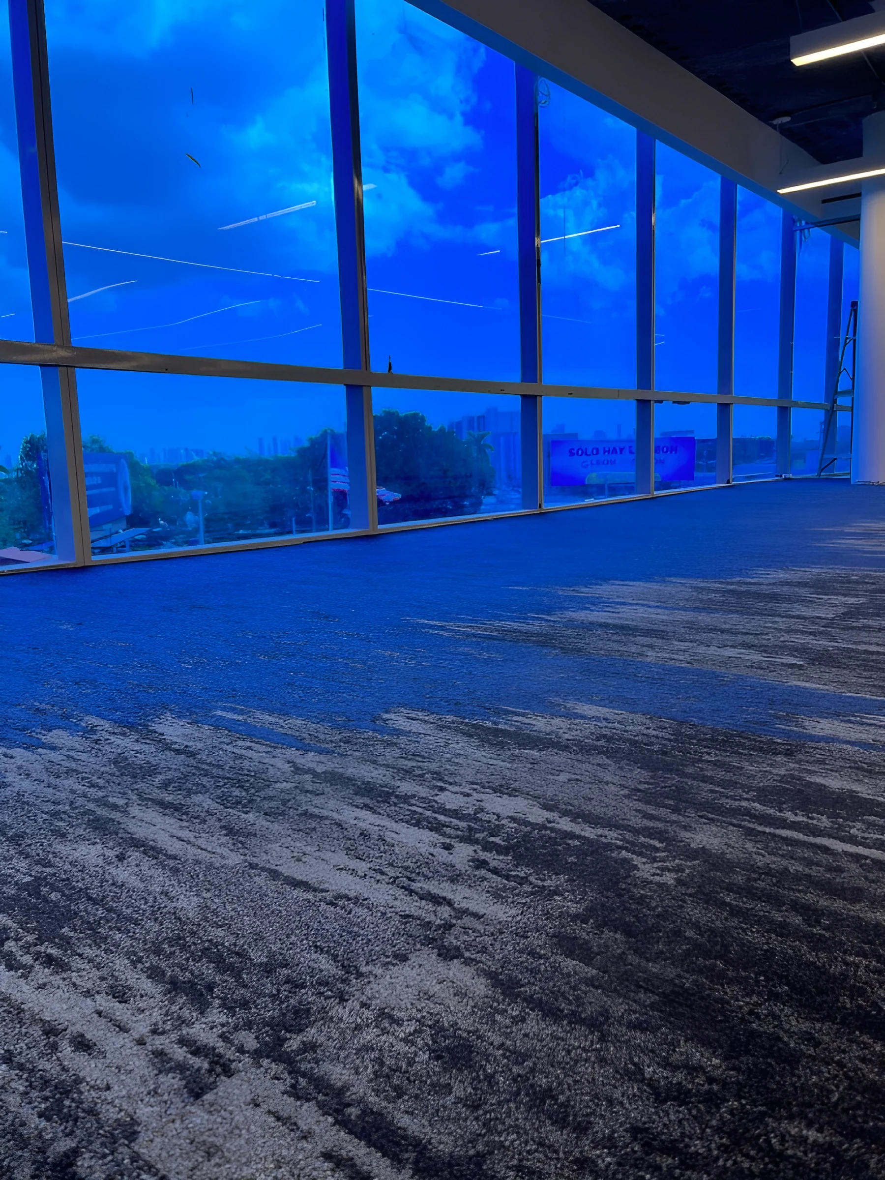 Mohawk Nutopia 2.0 carpet tile along the window wall