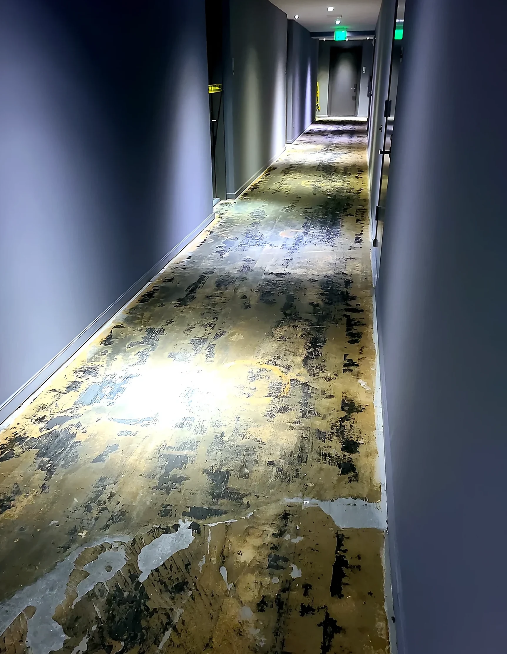 Brickell House — site photo 3