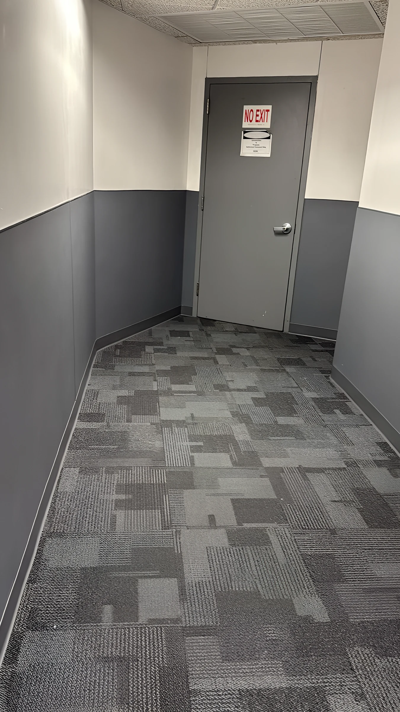 Protección de pared junto a la nueva alfombra