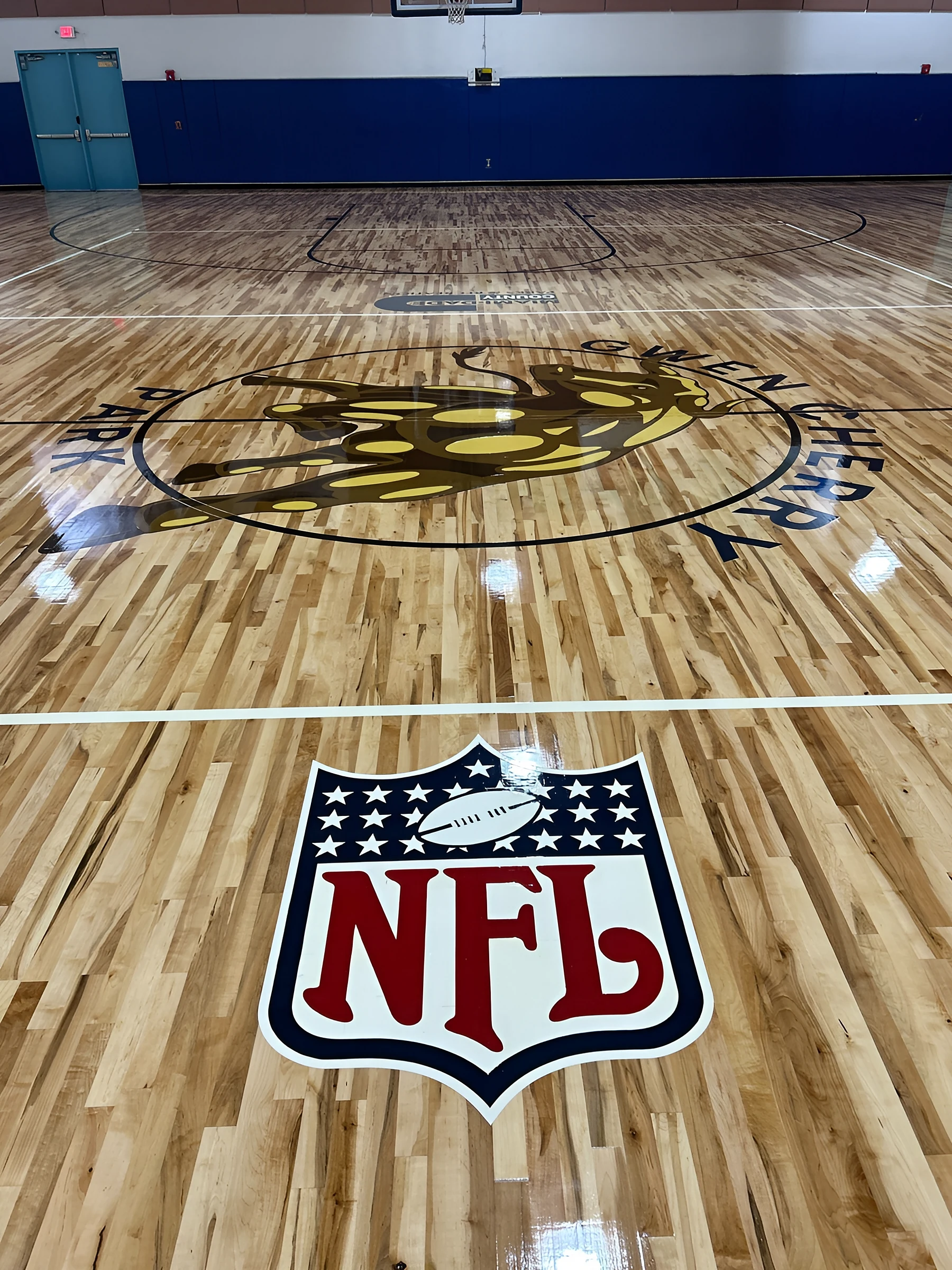 The NFL shield painted at center court below the park seal
