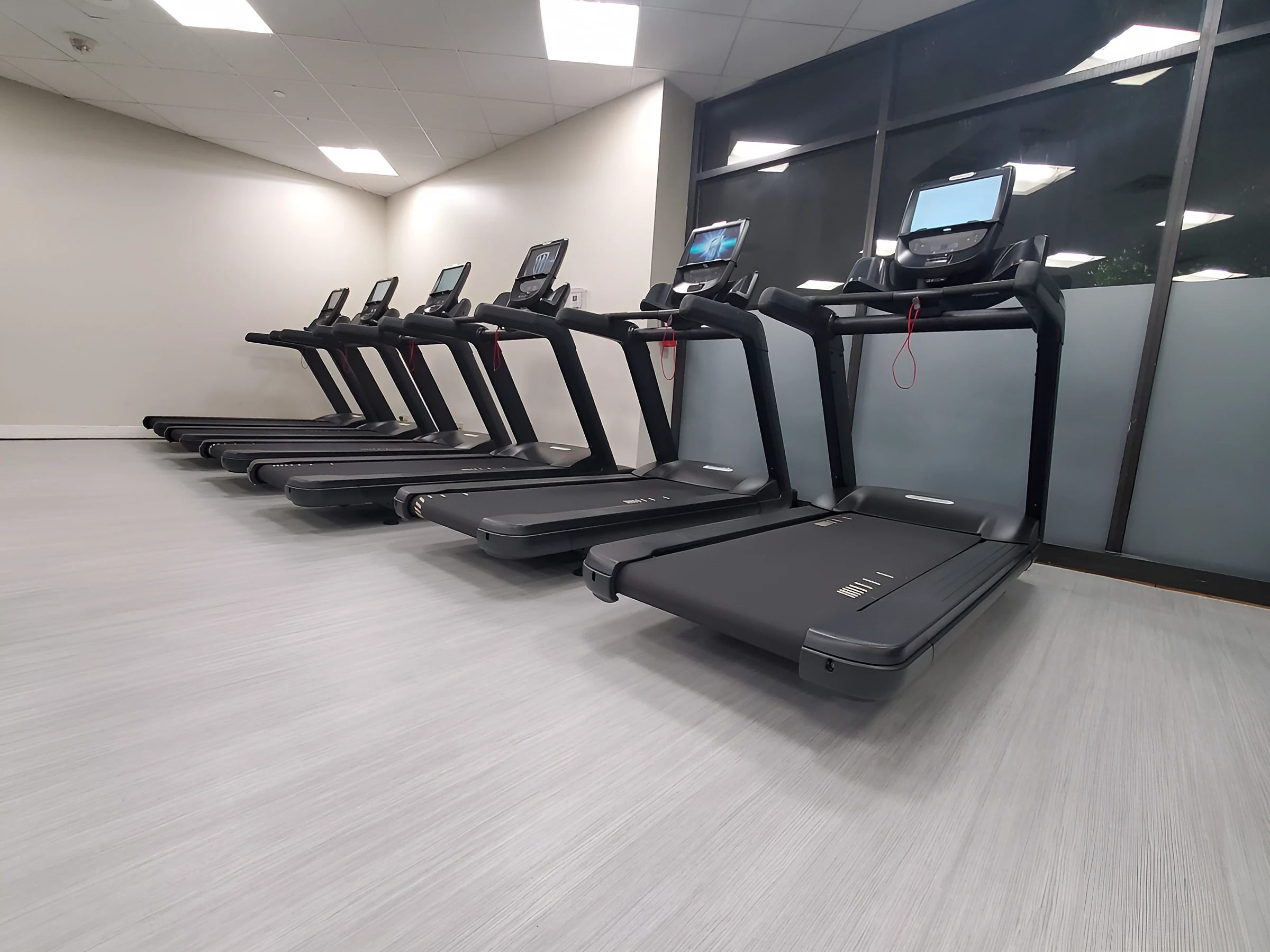 A row of treadmills by the windows