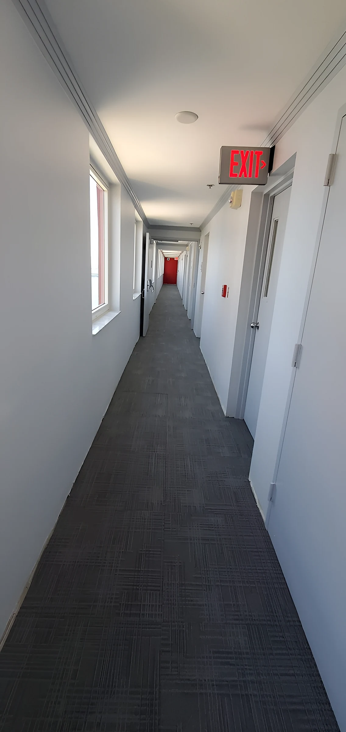Un pasillo largo con la alfombra nueva