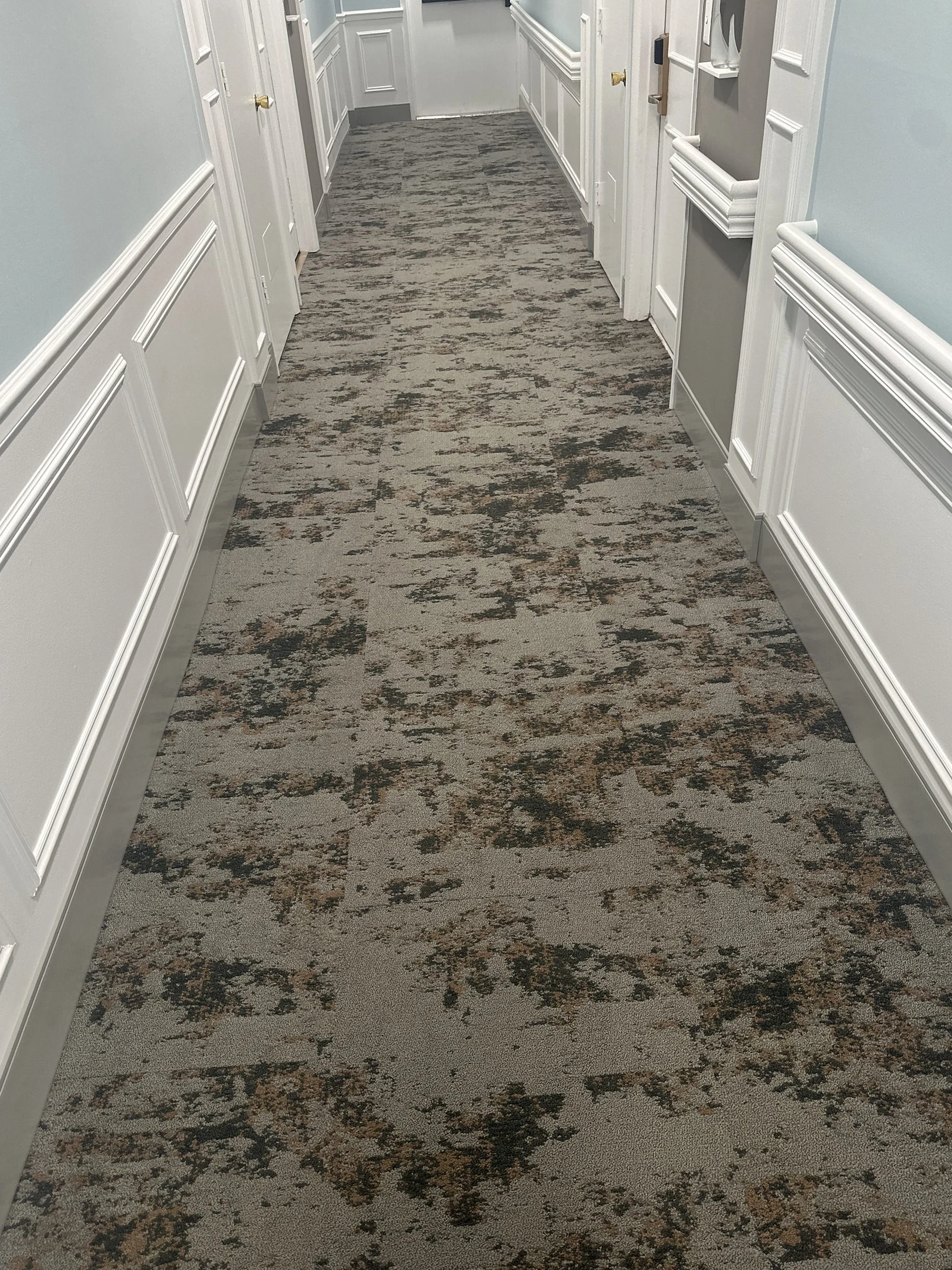 Un pasillo de East Lake con alfombra jaspeada