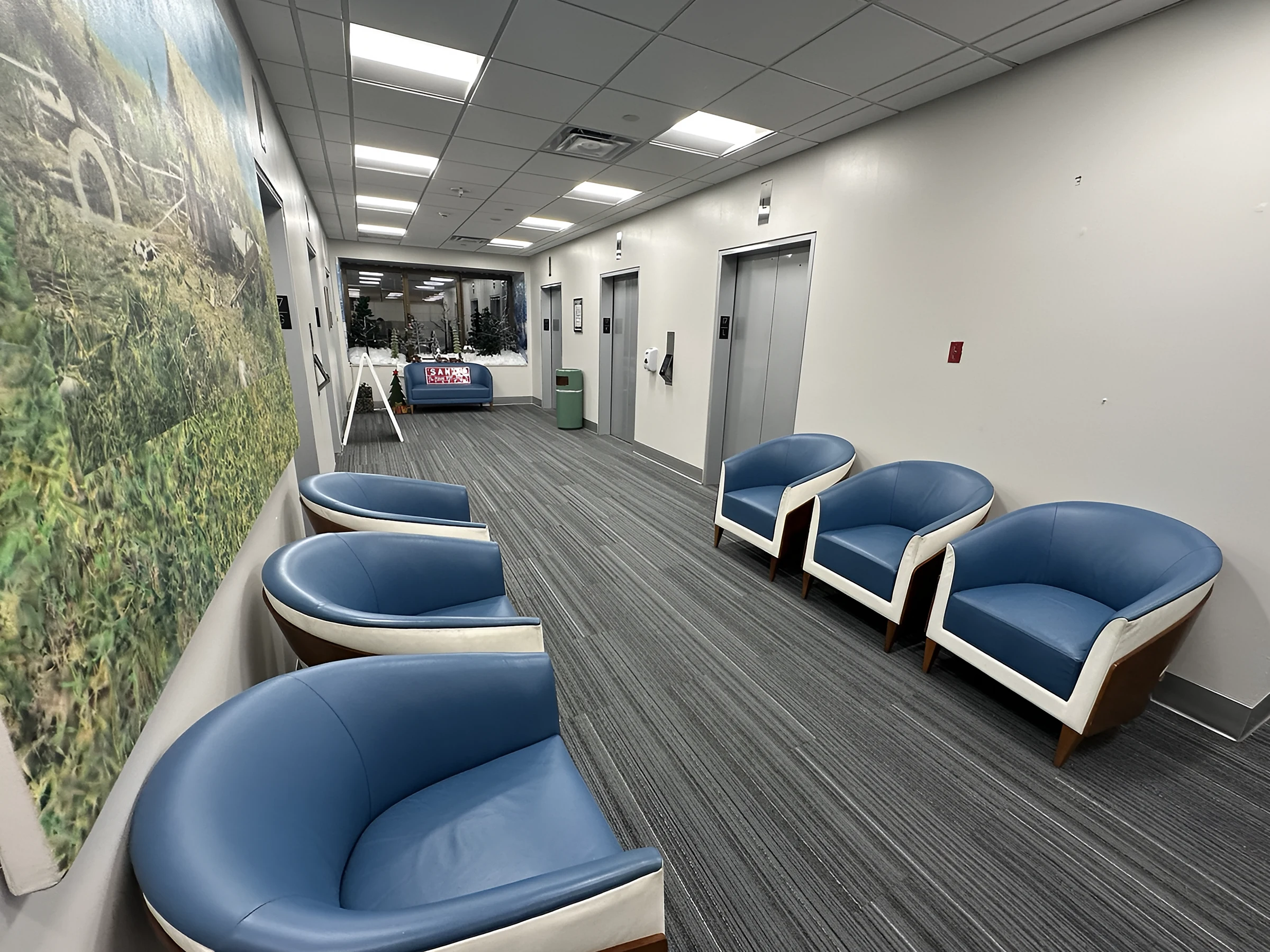 Una sala de estar con un mural de paisaje sobre la nueva alfombra