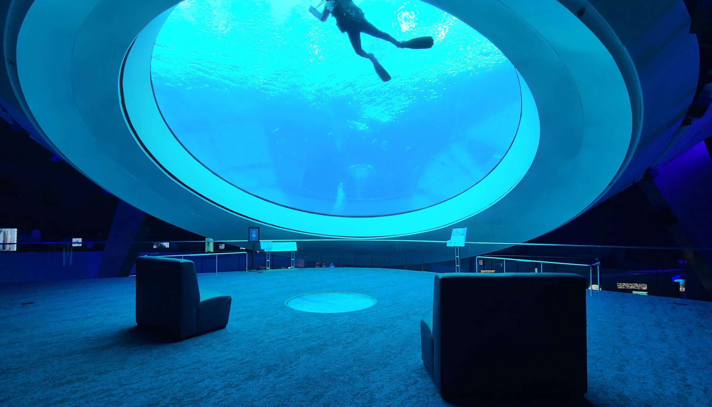The Oculus viewing level at the Frost Museum of Science, carpeted by CIC beneath the aquarium lens